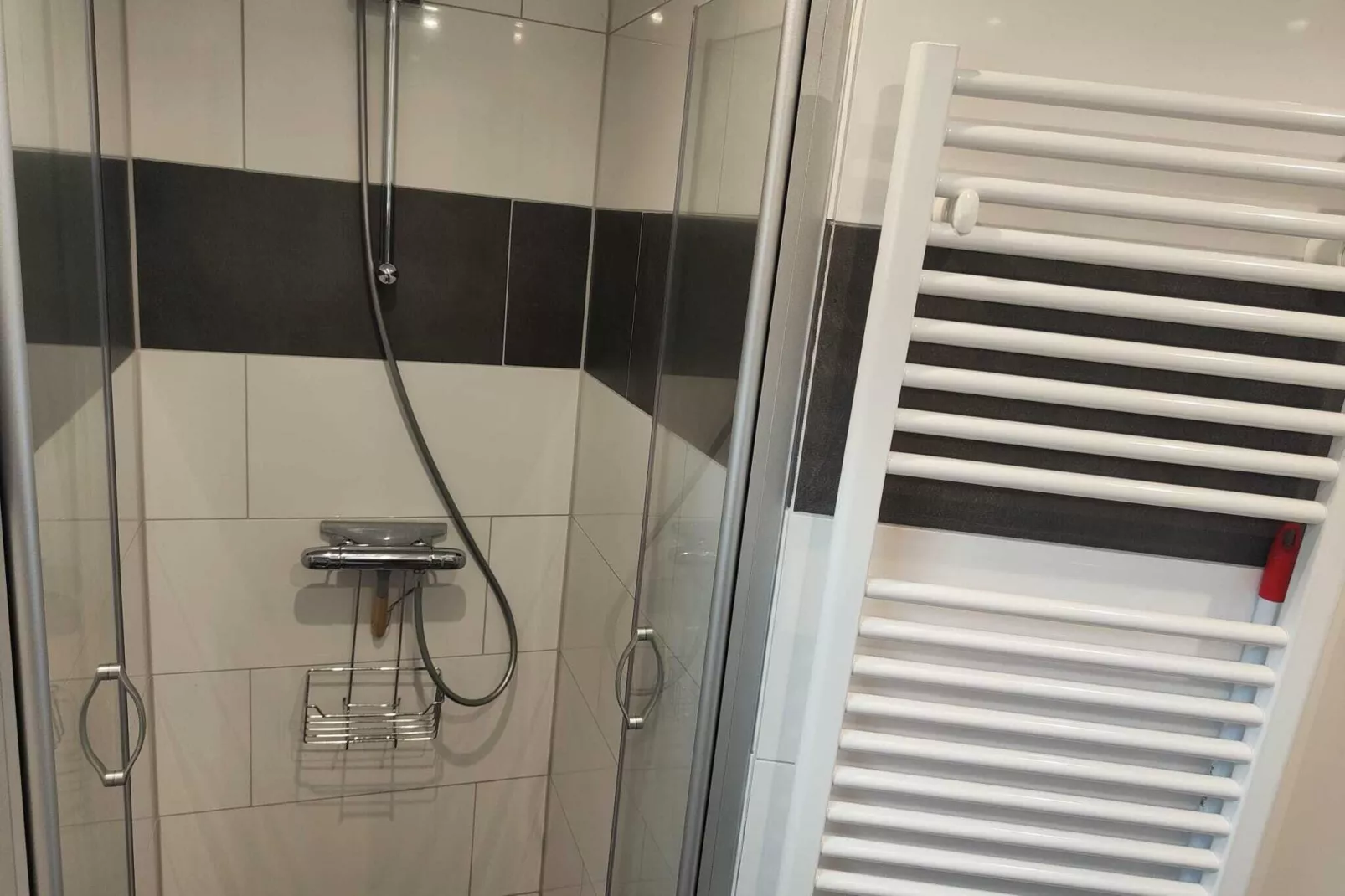 De Veluwse Kip-Bathroom