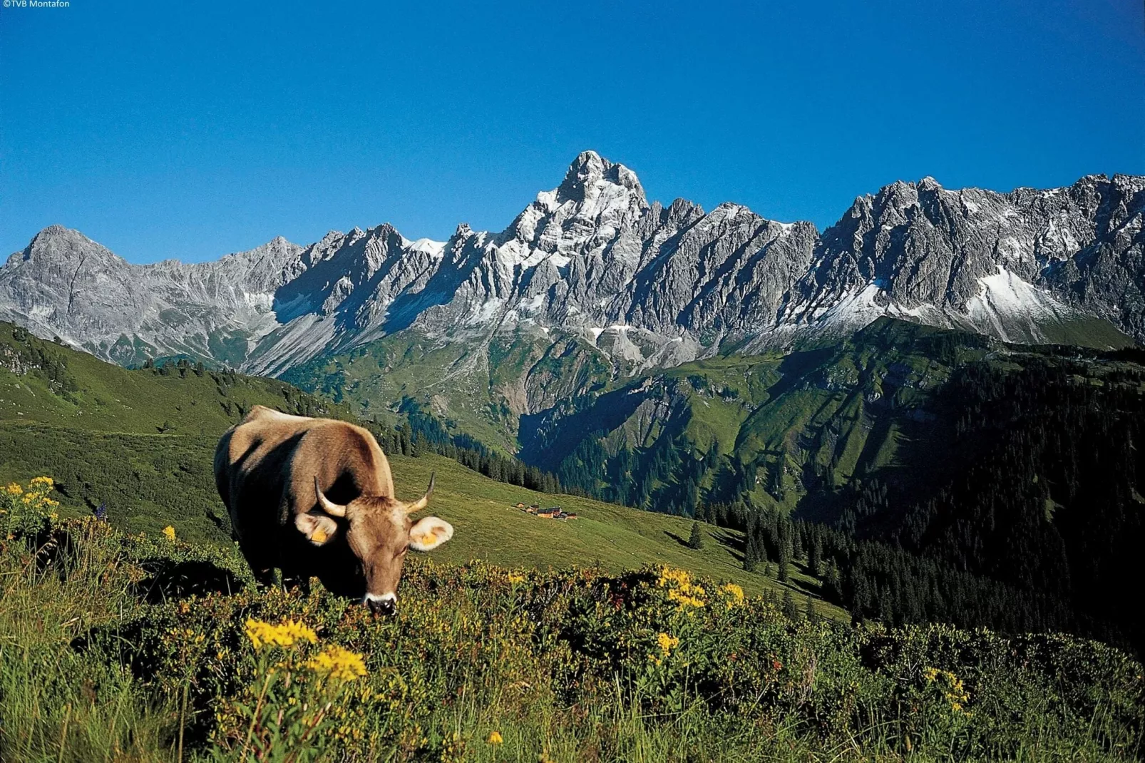 Luxurious Montafon Chalet S 2-Areas summer 1km