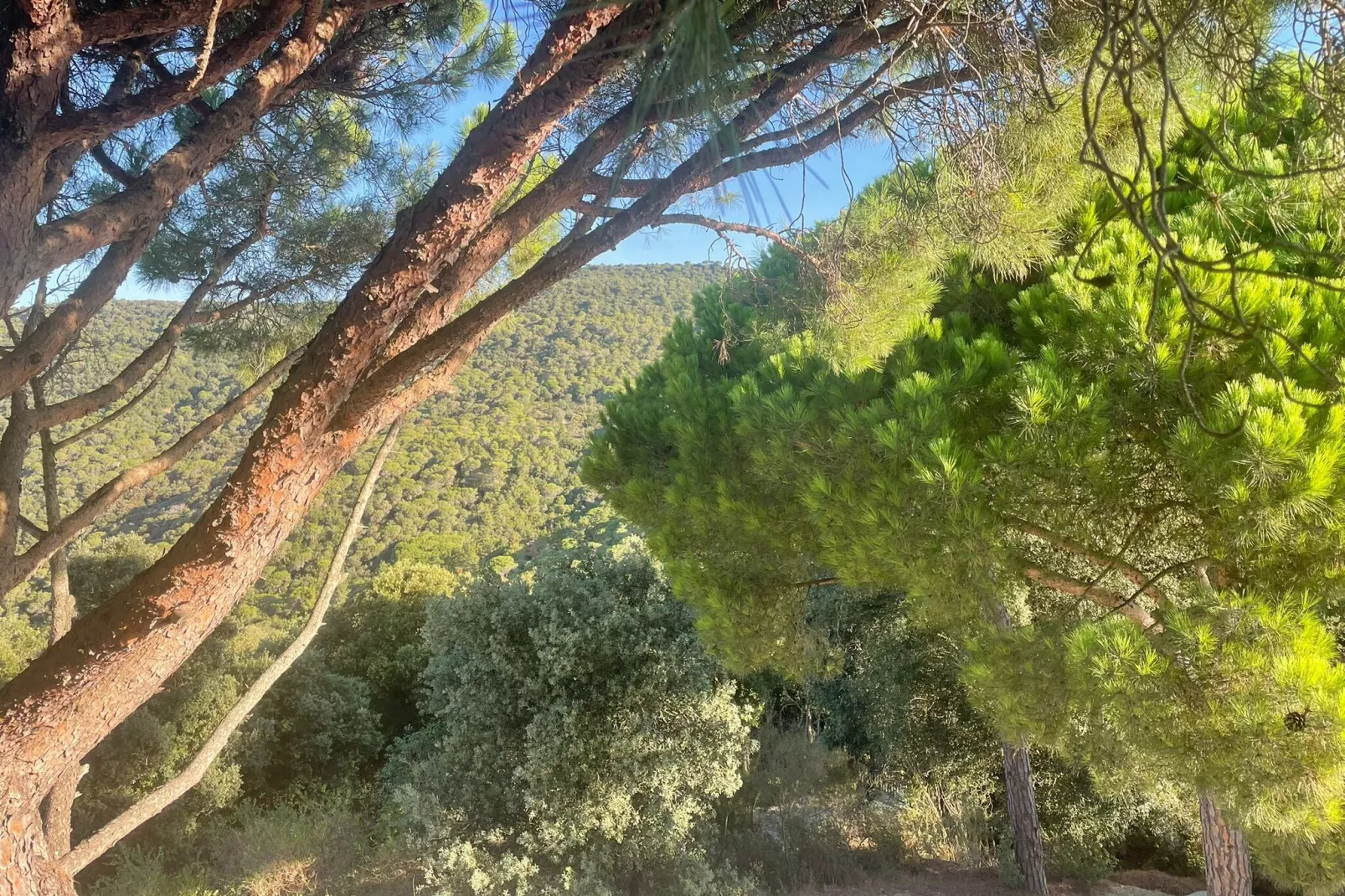 Villa Sant Andreu de Llavaneres-Atmosphere