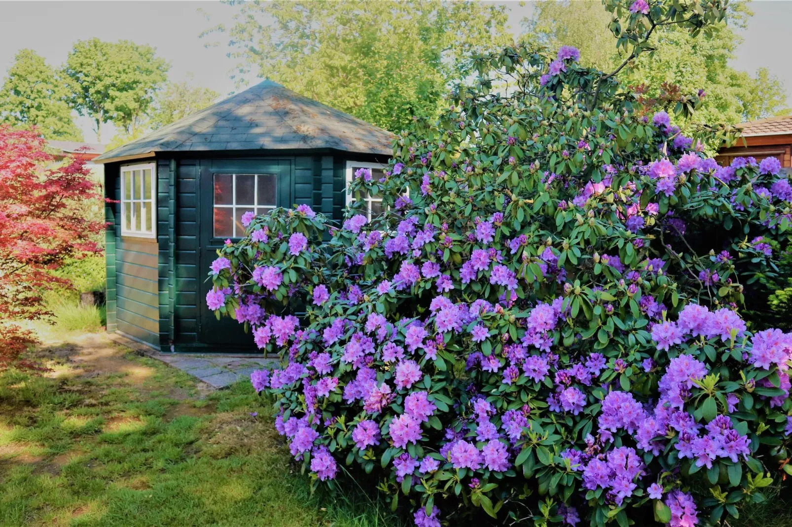 De Veluwse Kip-Gardens summer