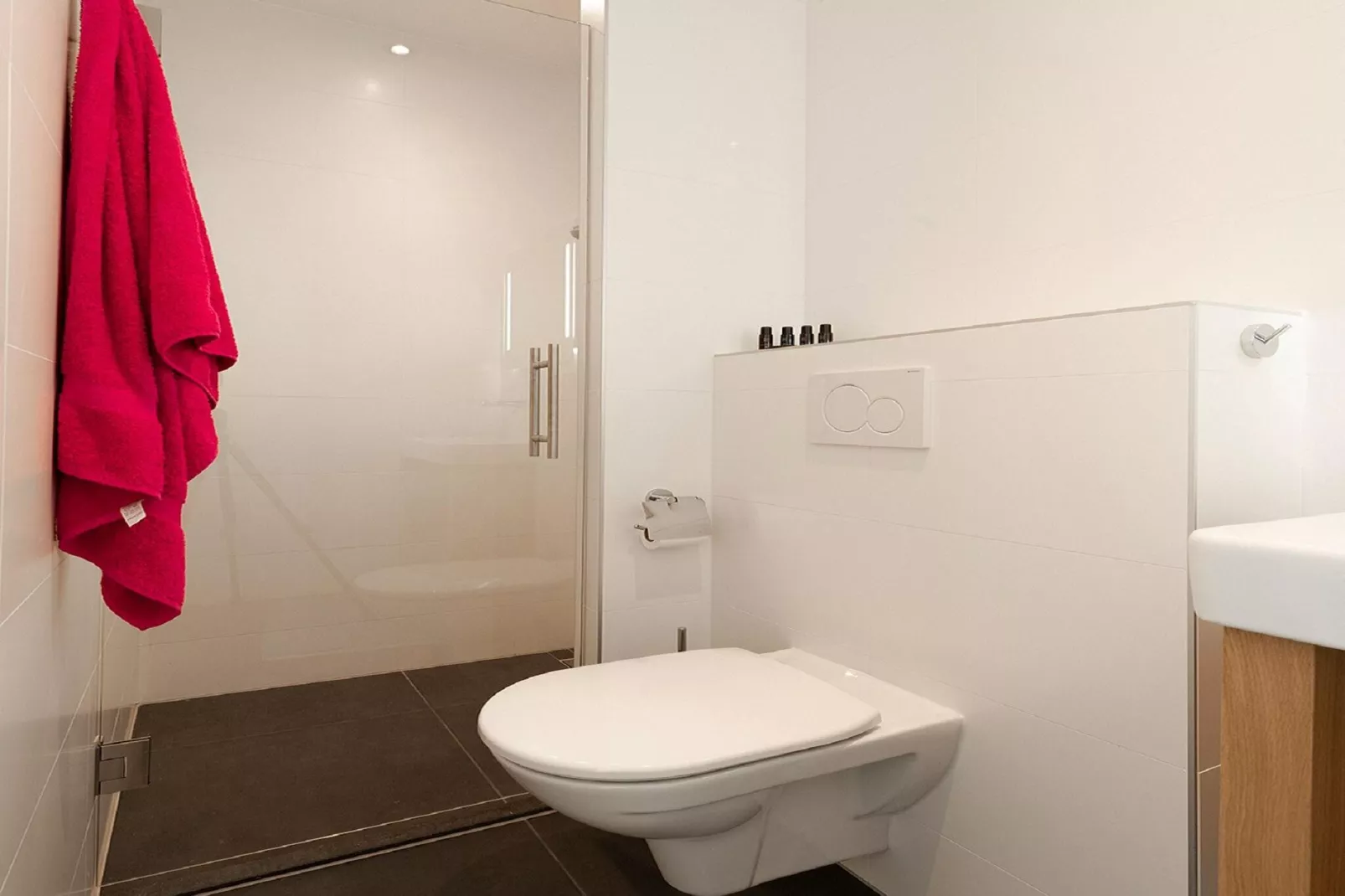 Friese Meren Villa's 22-Bathroom