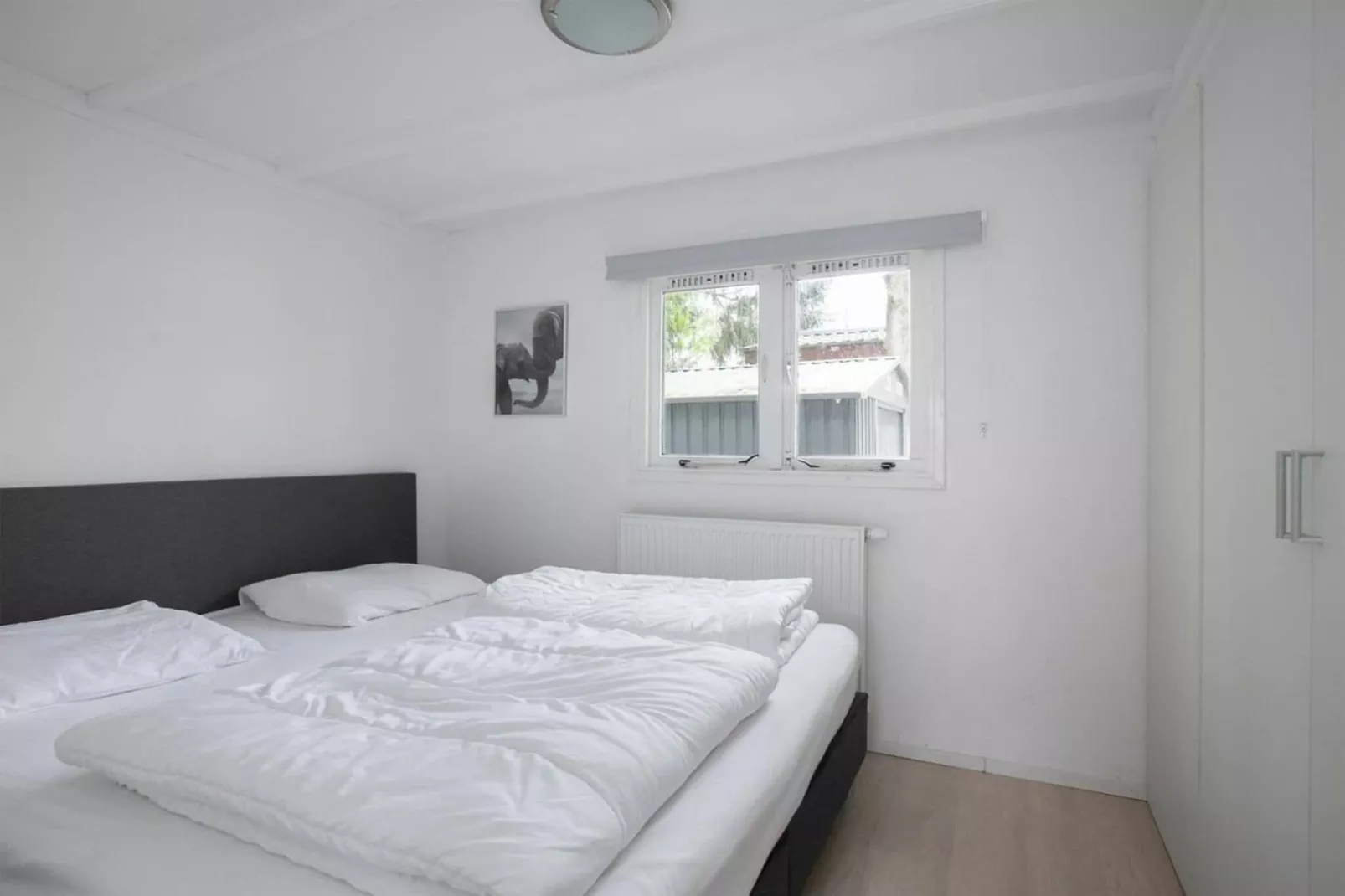 De Veluwse Eekhoorn-Bedroom