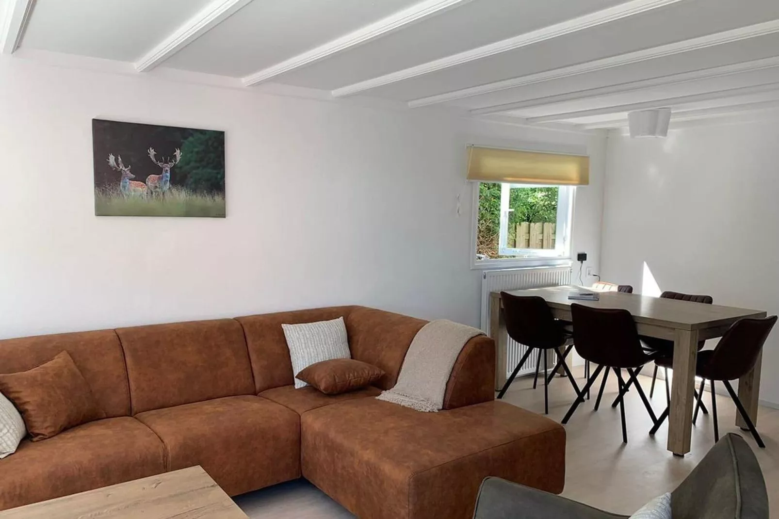 De Veluwse Eekhoorn-Living room