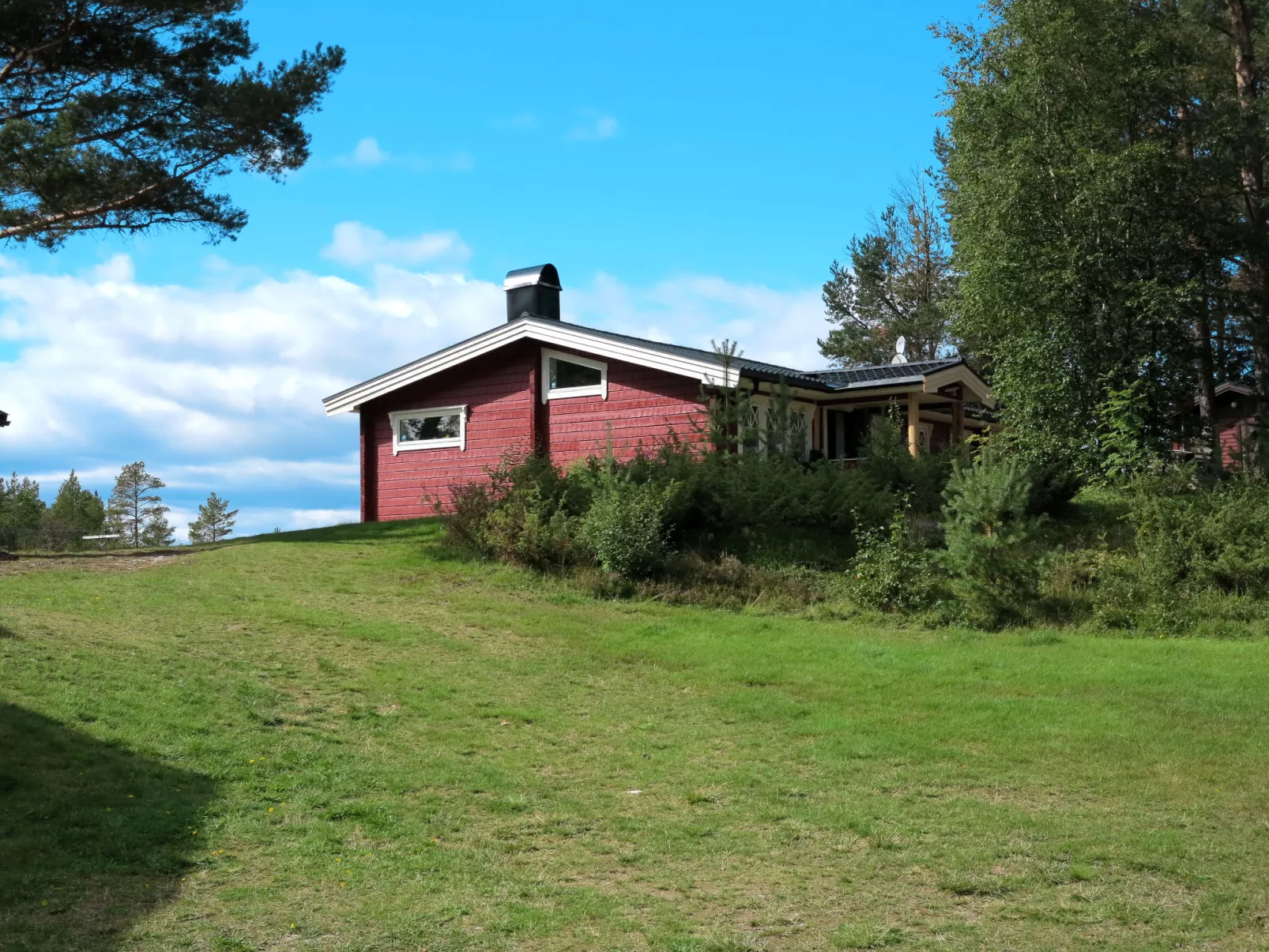 Kvisthån Idegranen-Outside