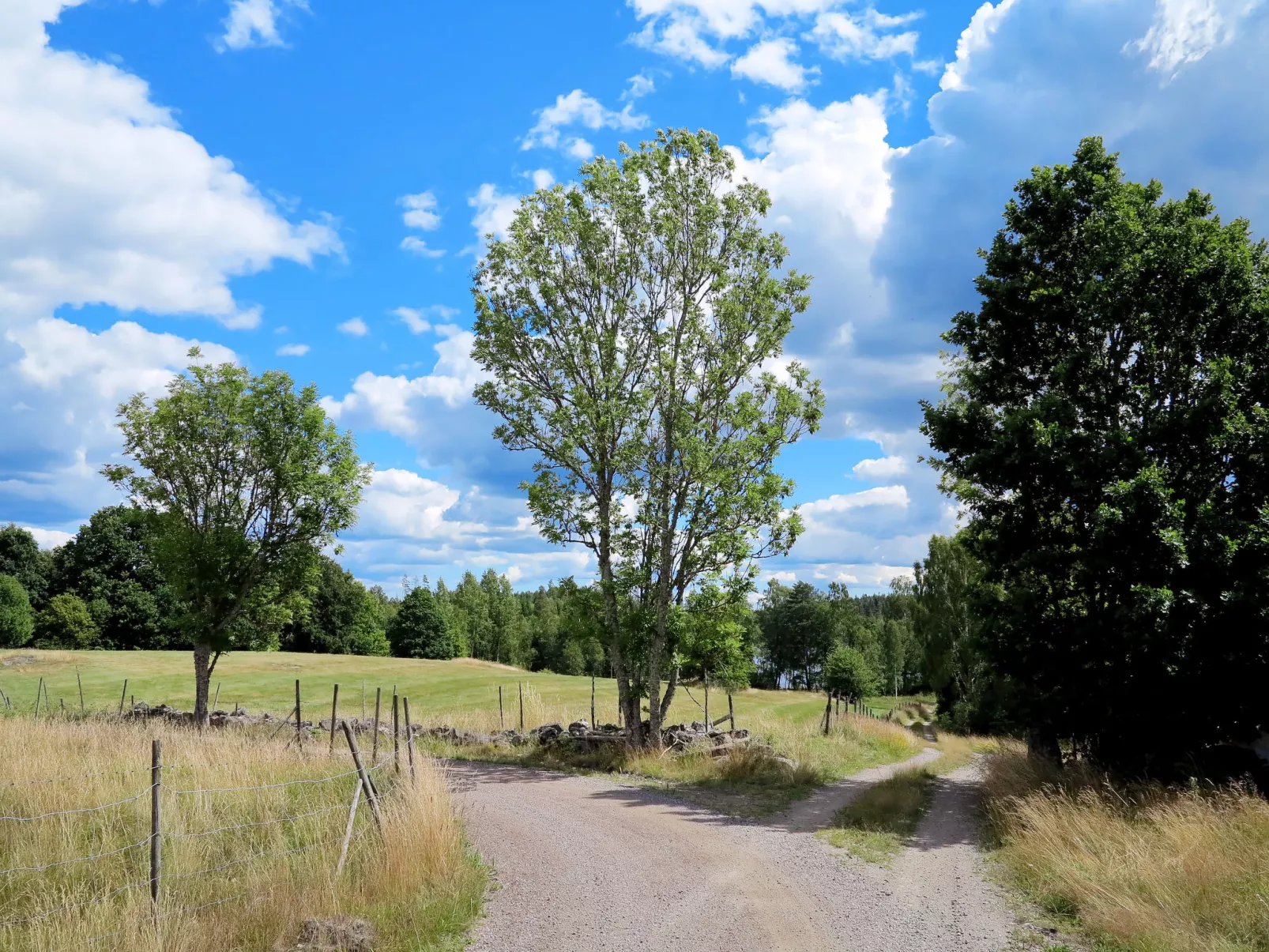 Rödmossa Femton-Outside