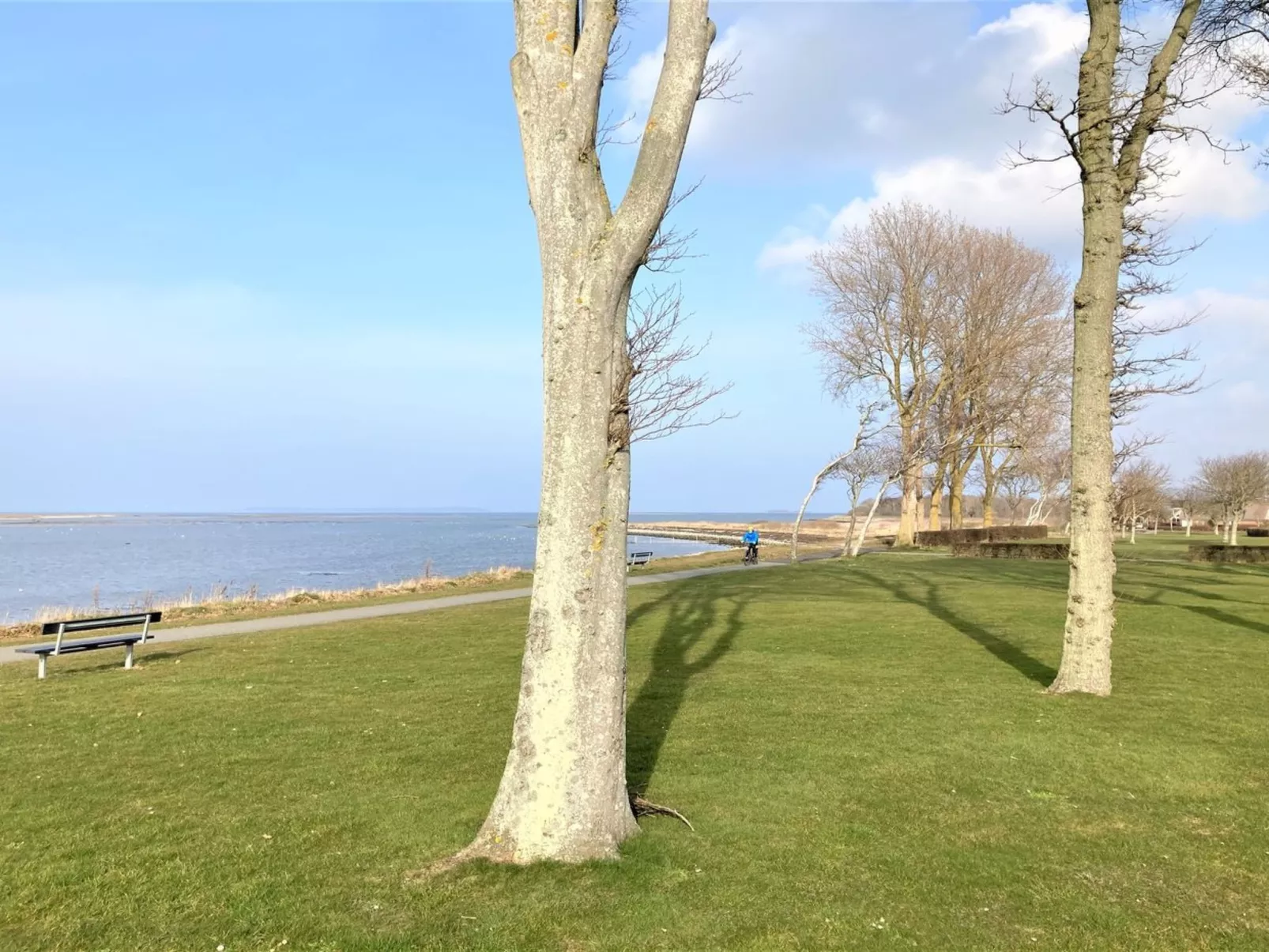 "Reinmoth" - 100m from the sea-Draußen