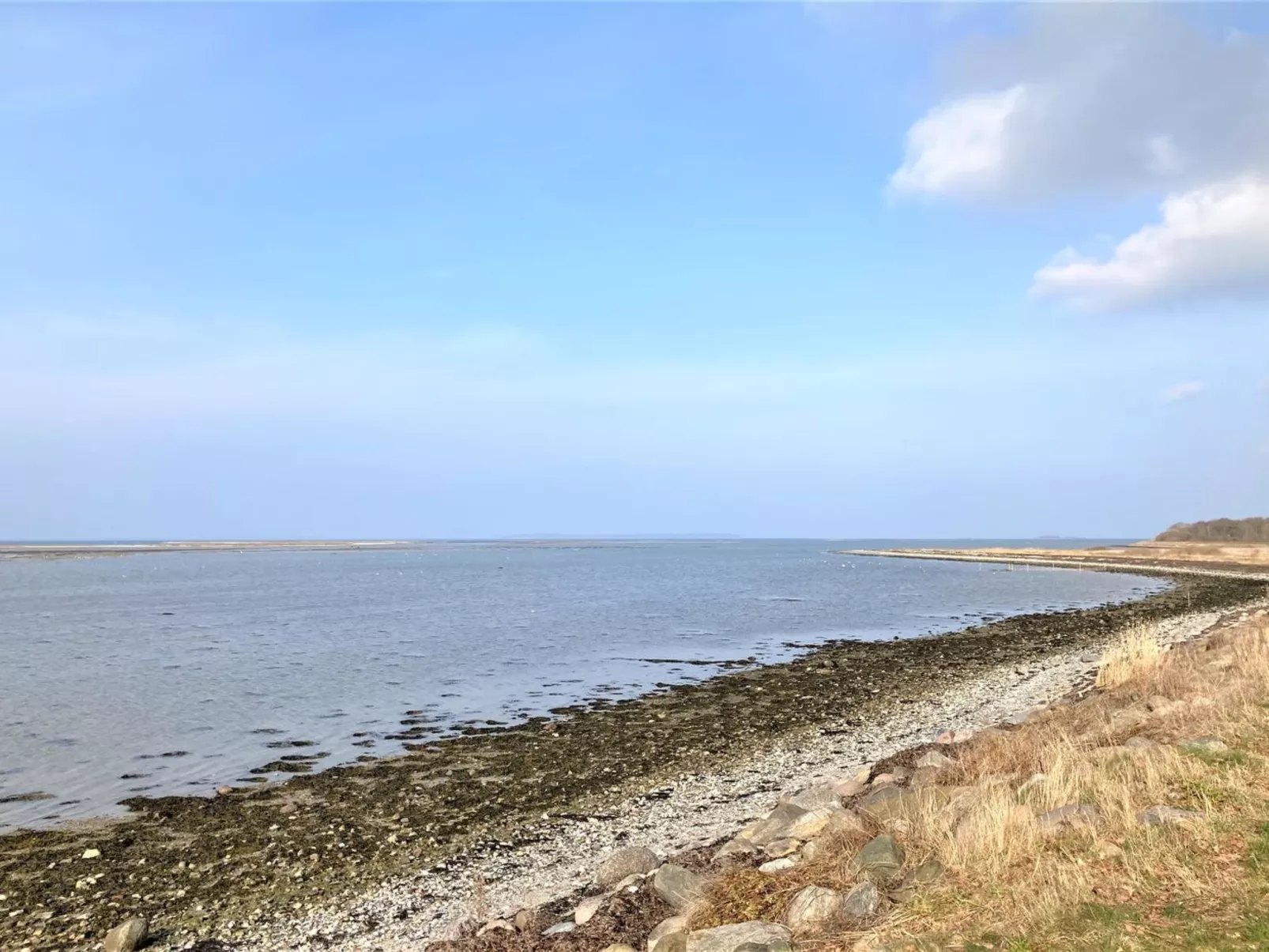 "Reinmoth" - 100m from the sea-Draußen