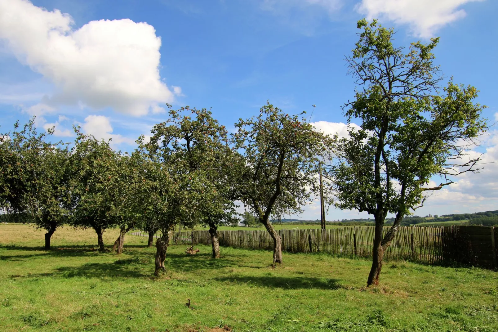 Gîte du Haut Chemin-Gardens summer