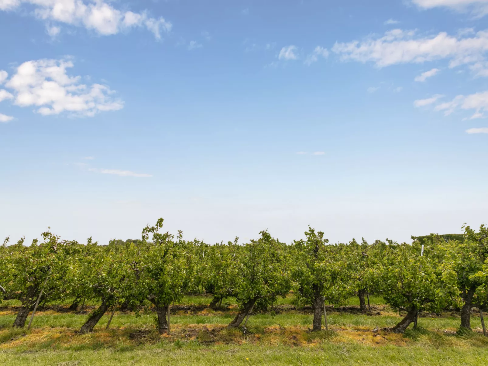 Groepswoning De Appelgaard-Outside