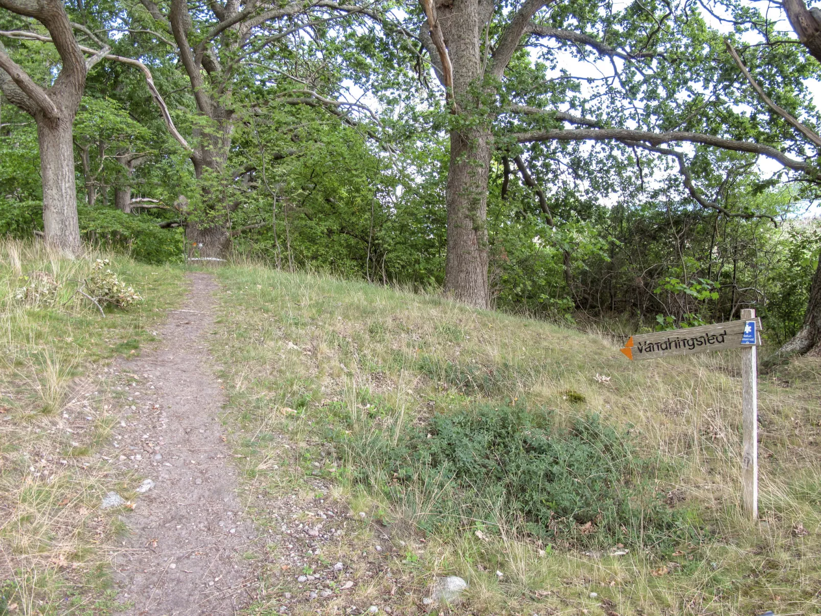 Stegeborg Sjöstugan-Outside