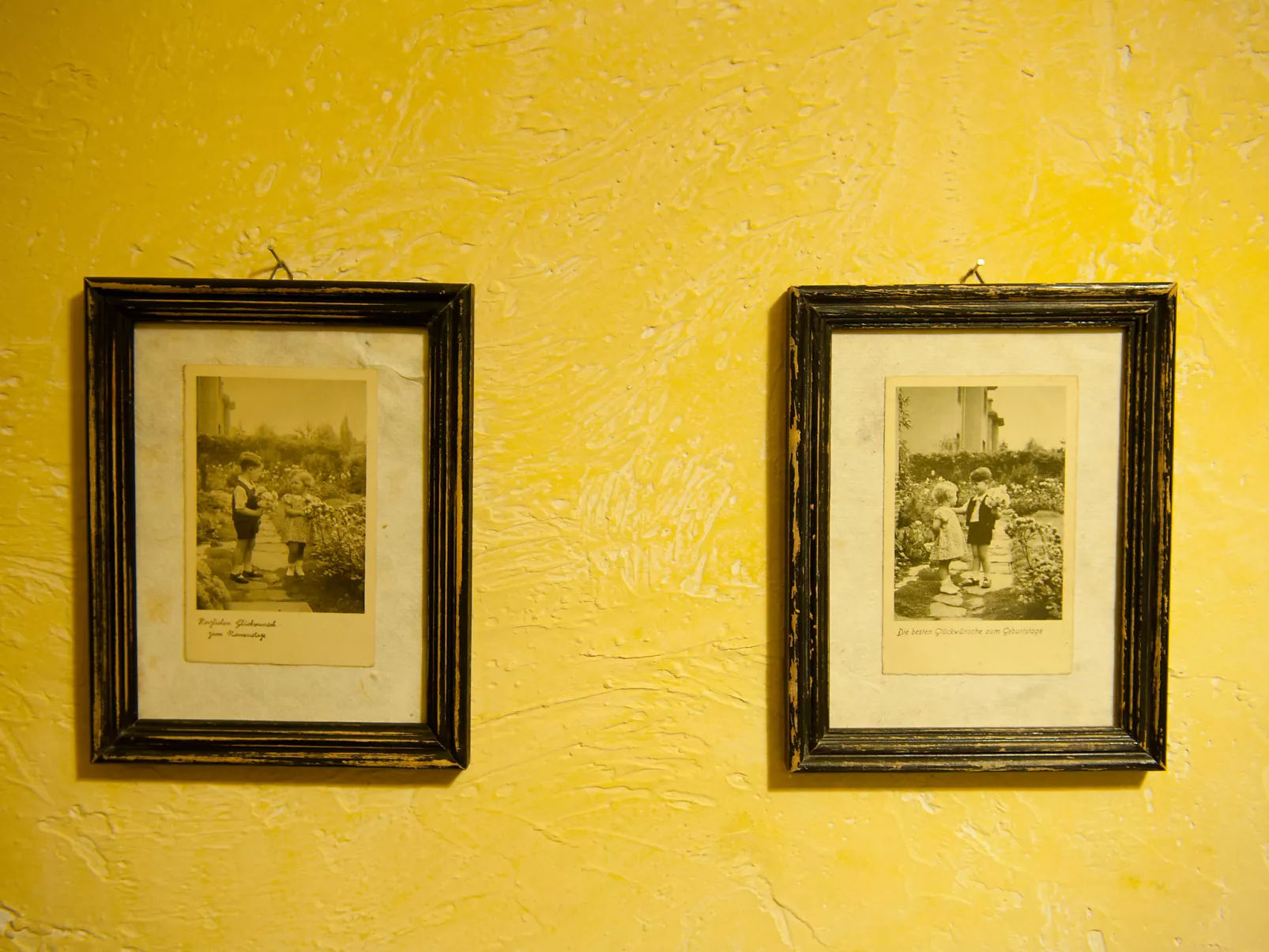Jura dla Ciebie-Inside