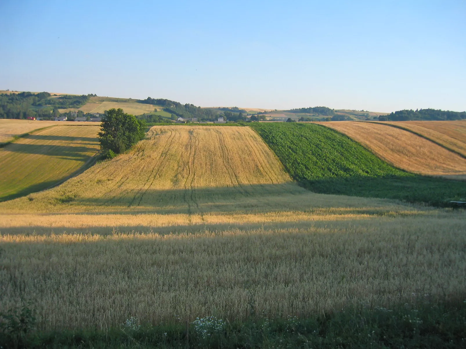 Jura dla Ciebie-Outside