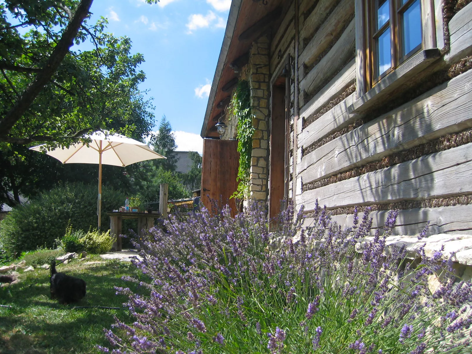 Jura dla Ciebie-Outside