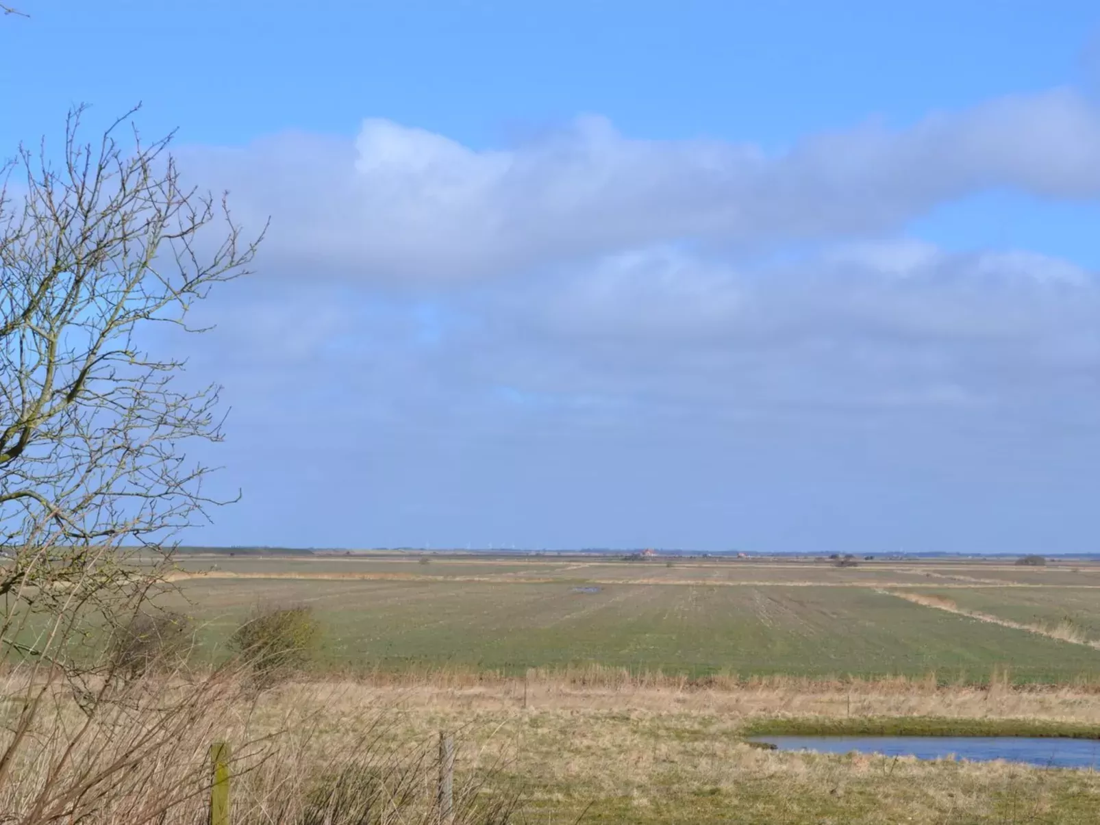 "Arik" - 700m from the sea-Outside