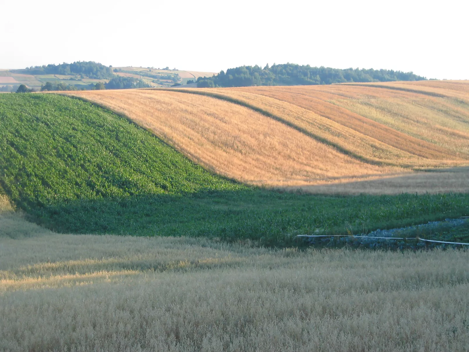 Moja Mała Toskania-Outside