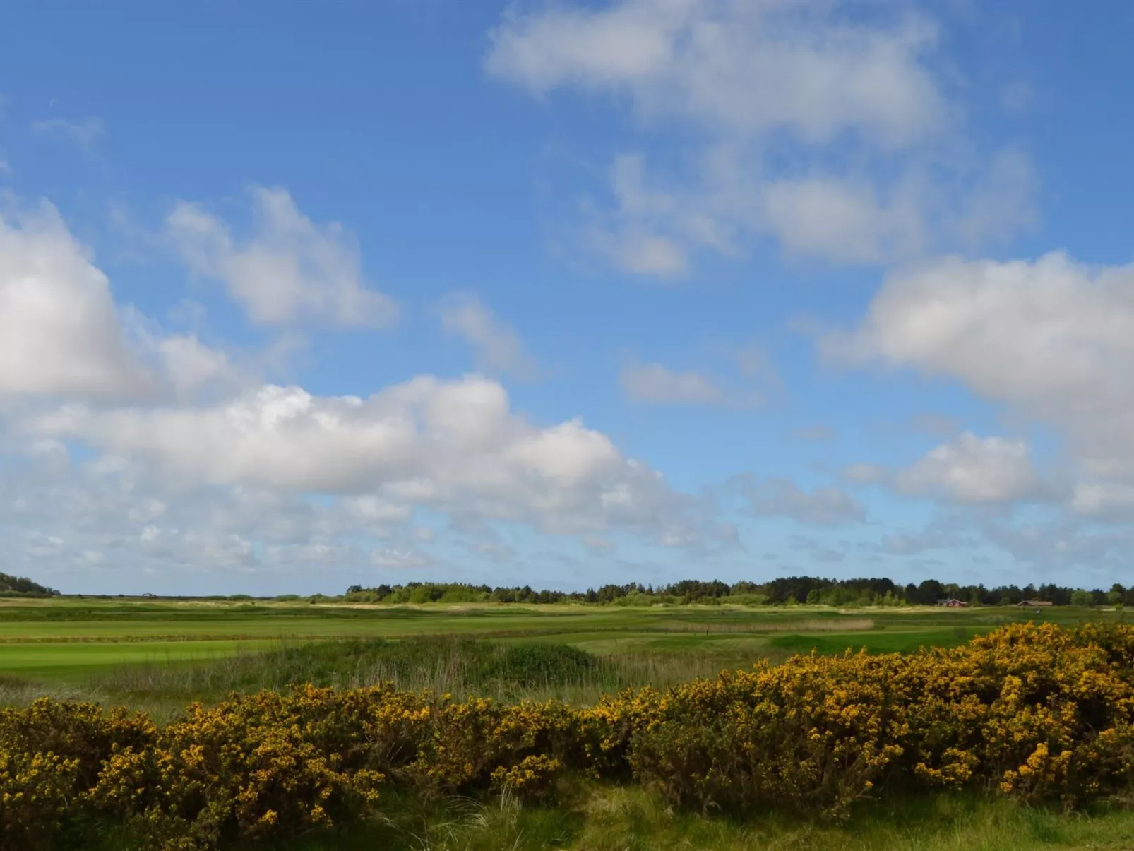 "Auti" - 2.3km from the sea-Outside