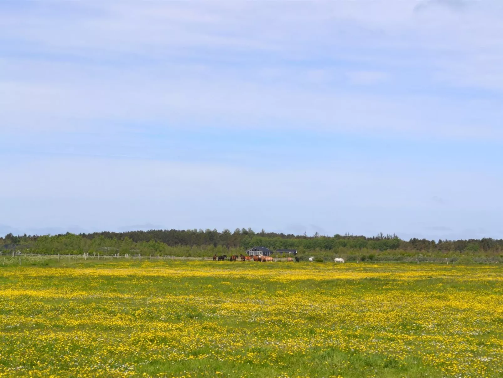 "Auti" - 2.3km from the sea-Outside