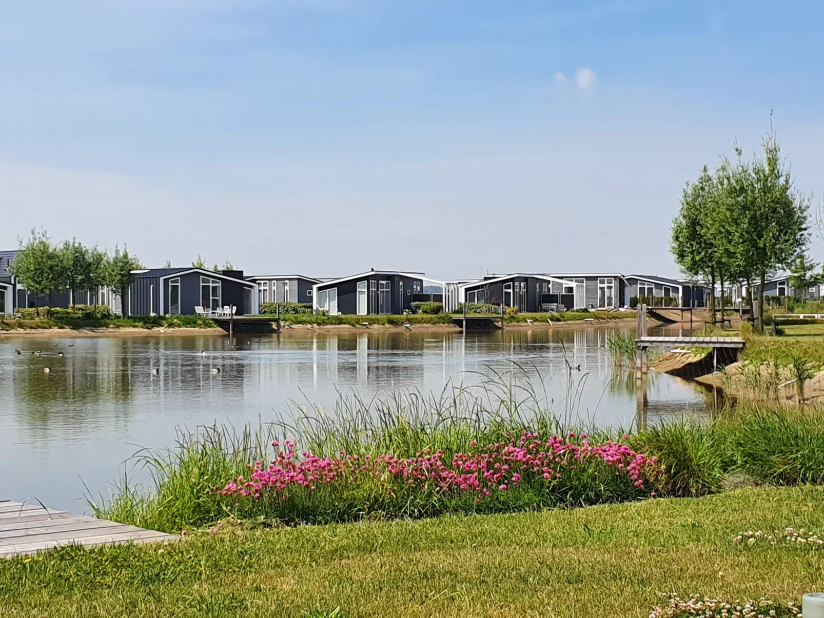 Vakantiehuis Ruisweg 69-Draußen