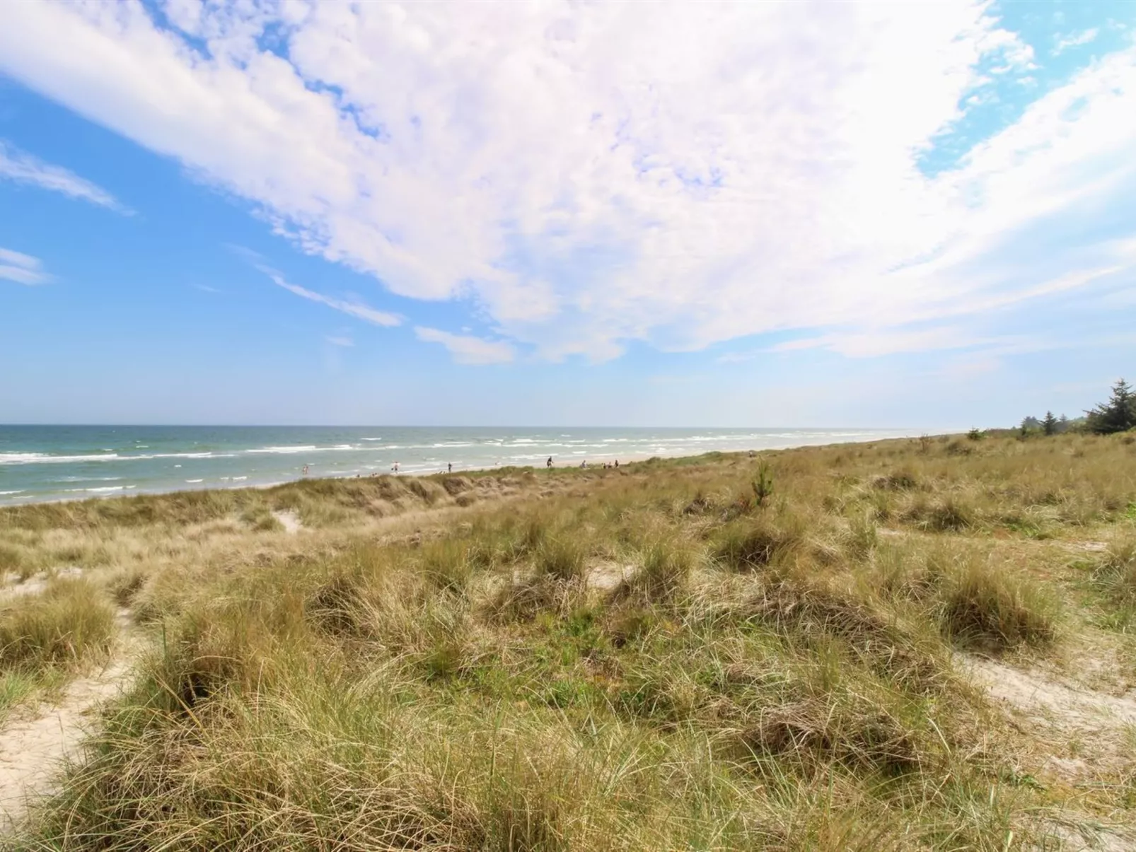 "Ingalise" - 500m from the sea-Outside
