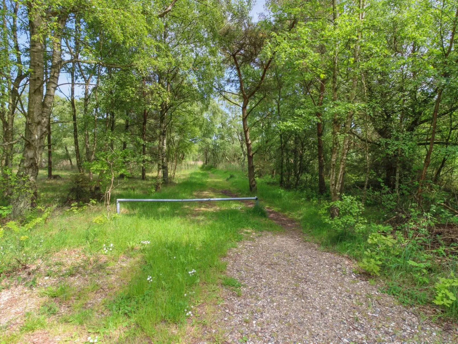"Ingalise" - 500m from the sea-Outside