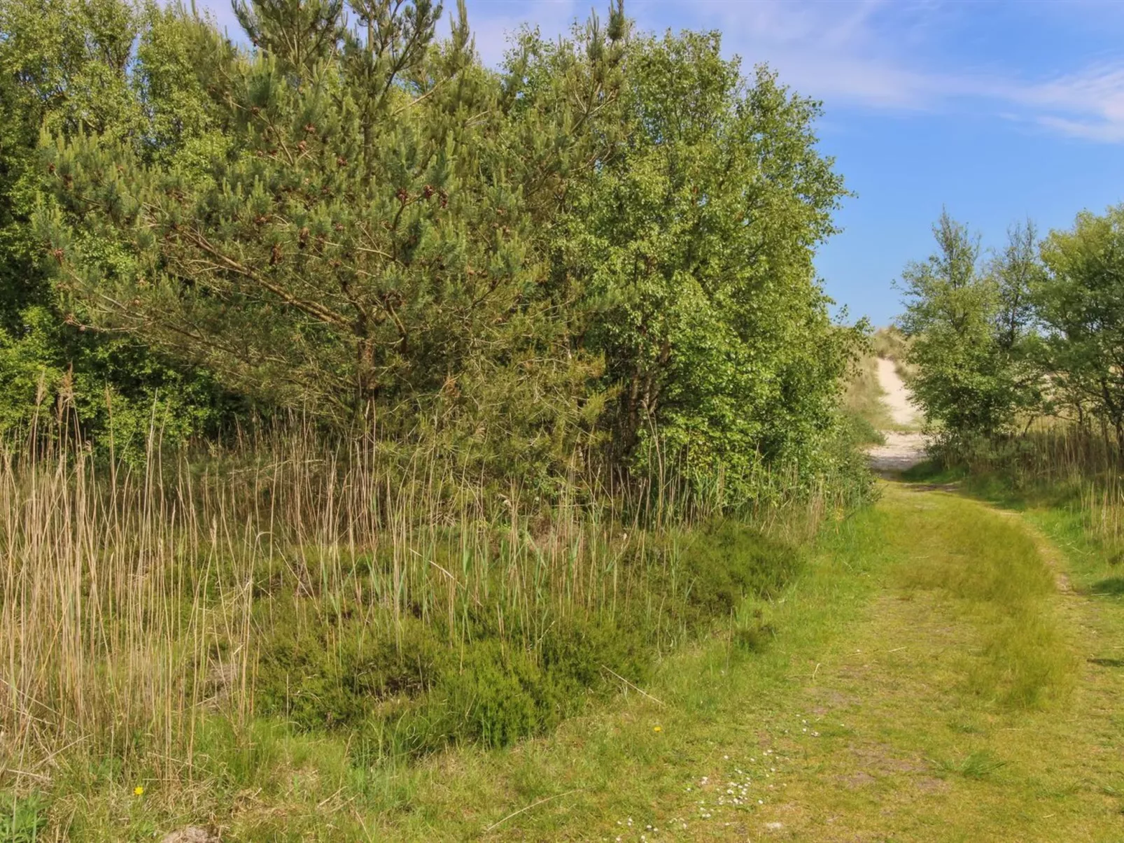 "Ingalise" - 500m from the sea-Outside