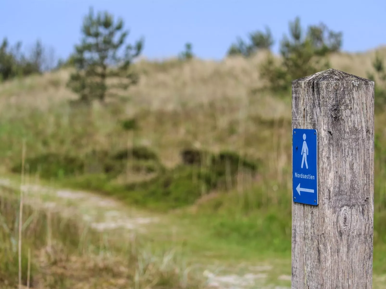 "Ingalise" - 500m from the sea-Outside