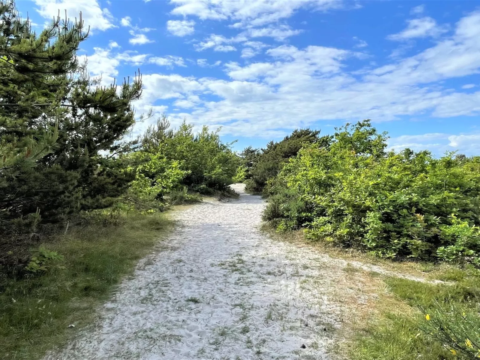 "Efka" - 175m from the sea-Outside