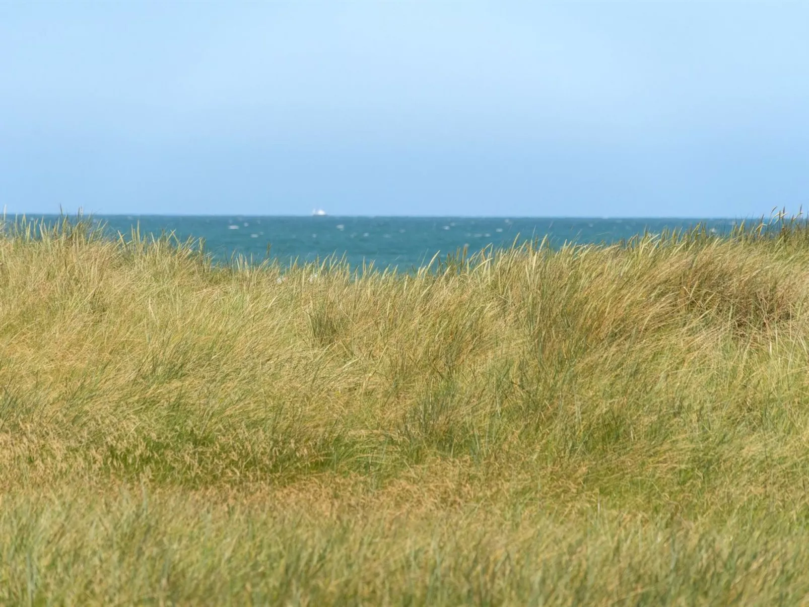 "Holger" - 50m from the sea-Outside