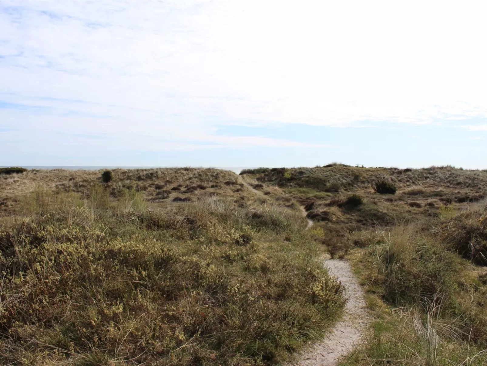 "Alexi" - 150m from the sea-Outside