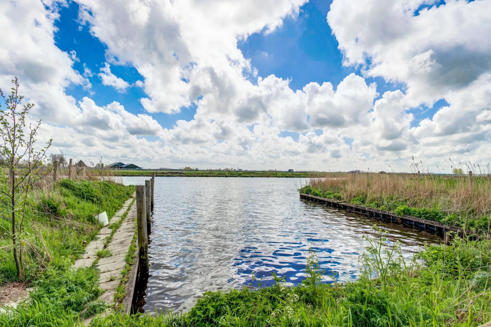 Gezellige Boerderij met chalet in Friesland-Gebiete Sommer 1 km