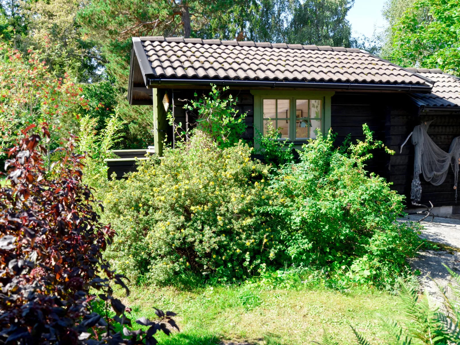 Rindö-Outside
