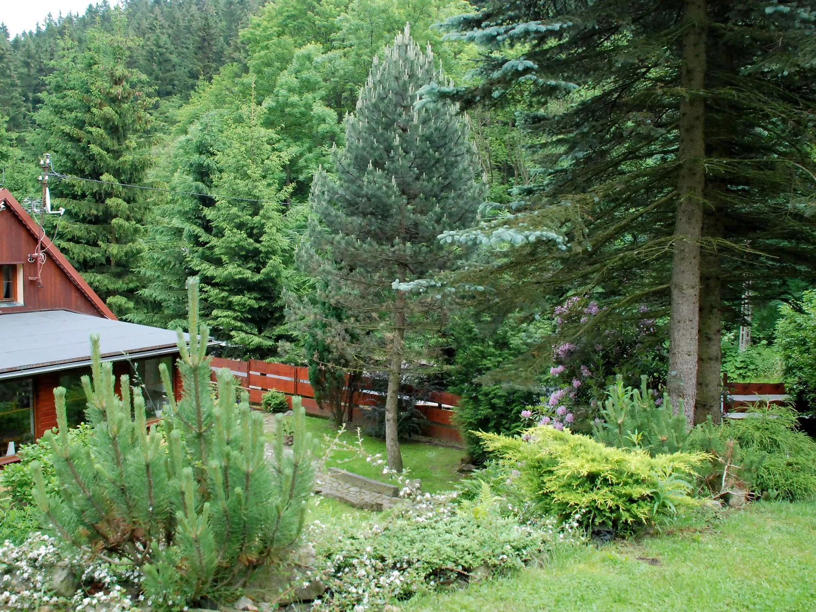Karpacz Kowary-Draußen