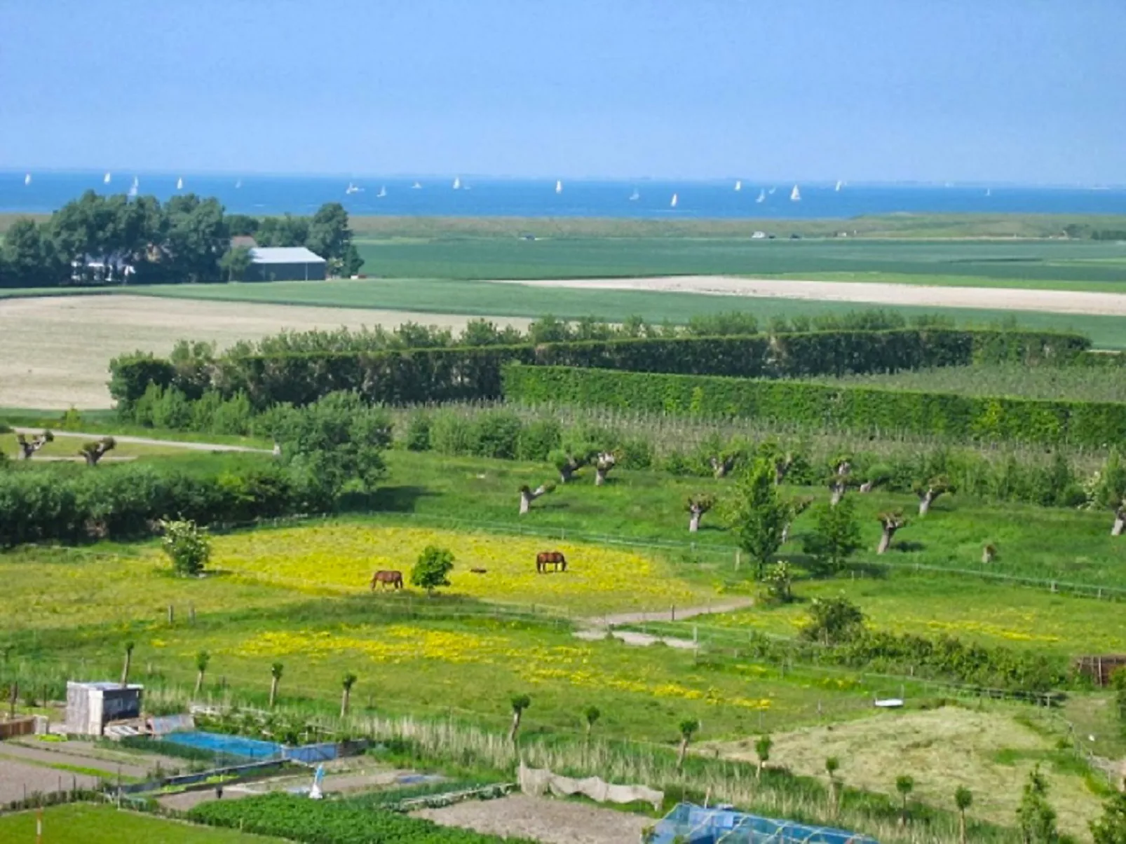 Zon-Dehors