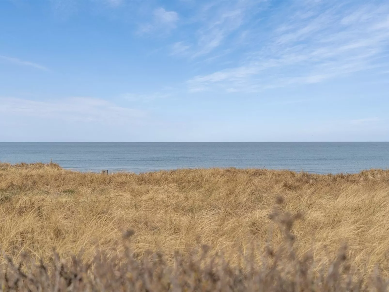 "Jace" - 75m from the sea-Outside