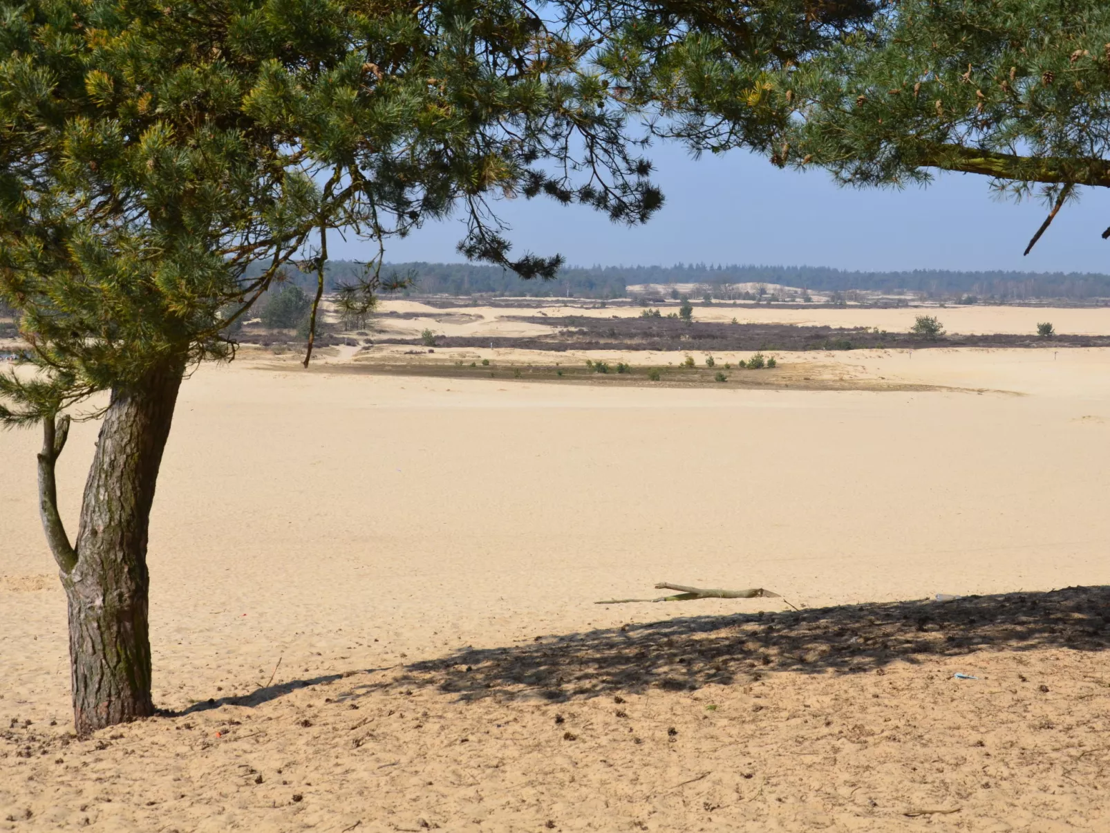 Duinhoeve-Dehors