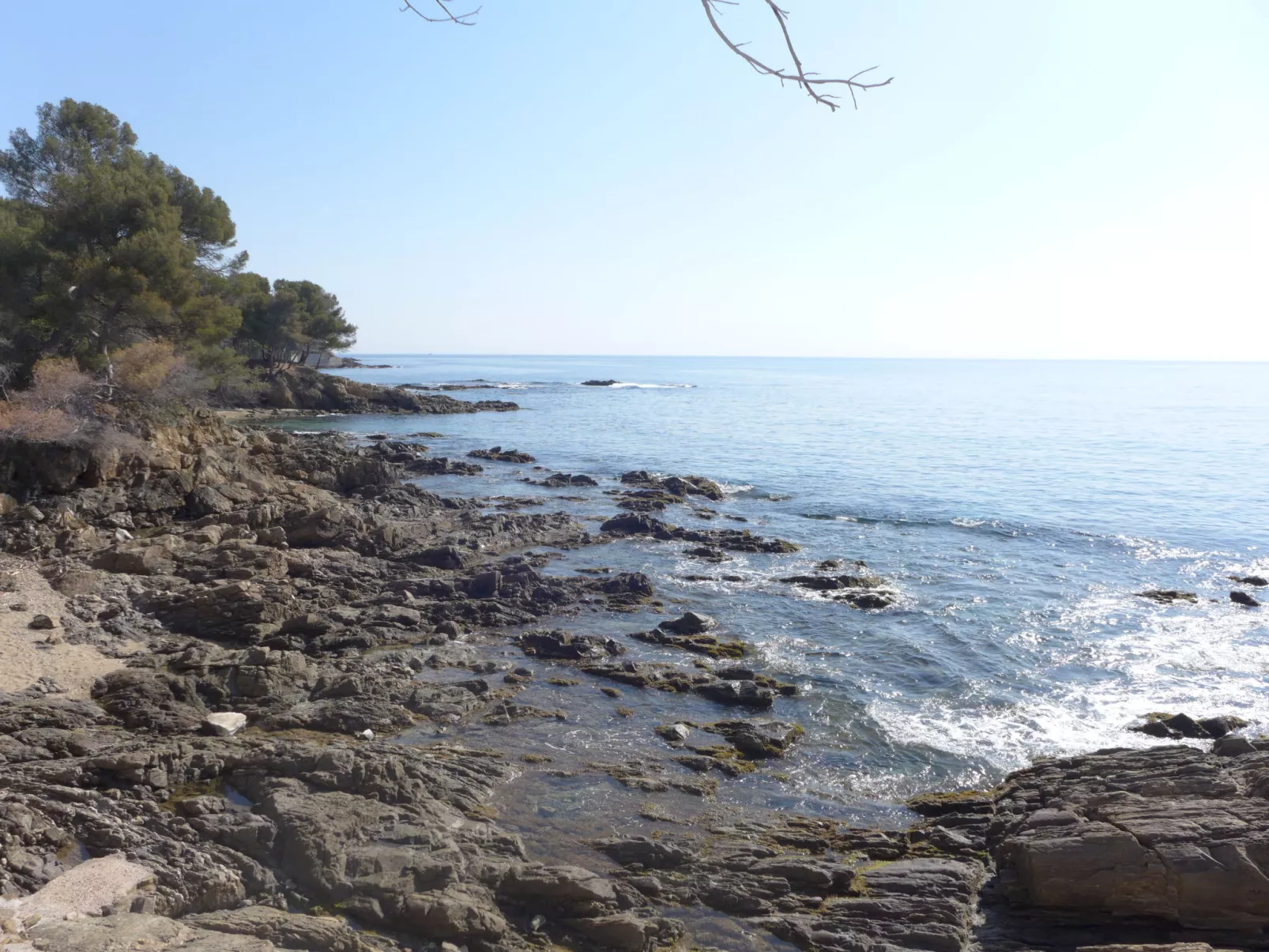 Plein Sud-Area