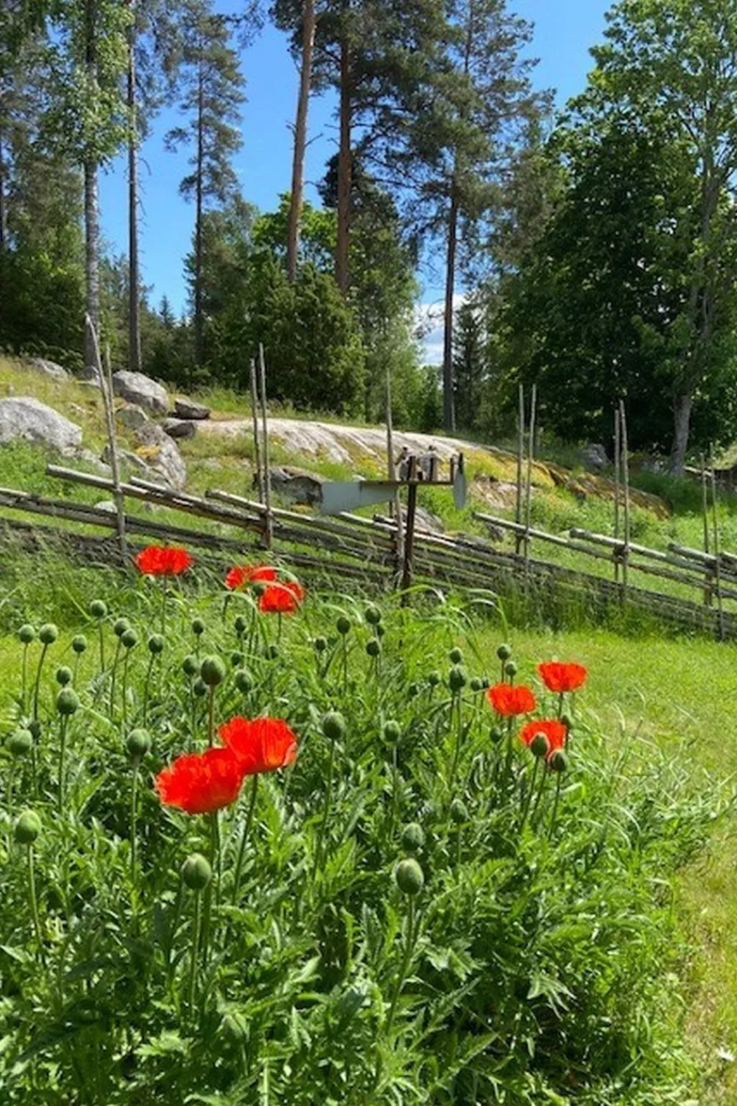 Skarpsätter Sportgård-Outside