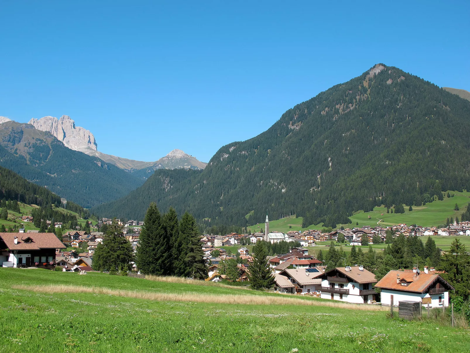 Cincelli - Latemar-Area