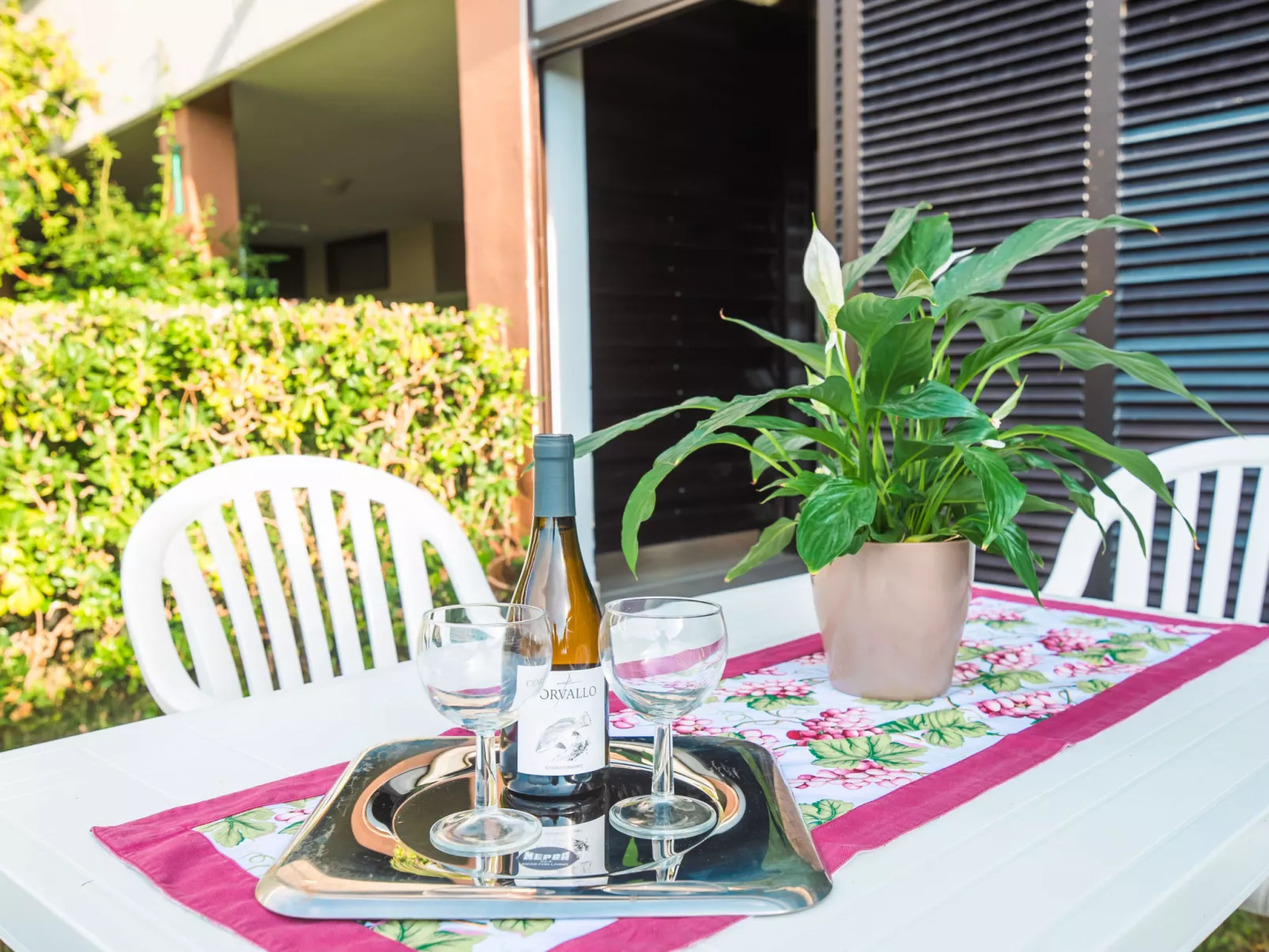 Bilo Standard Garden-Outside