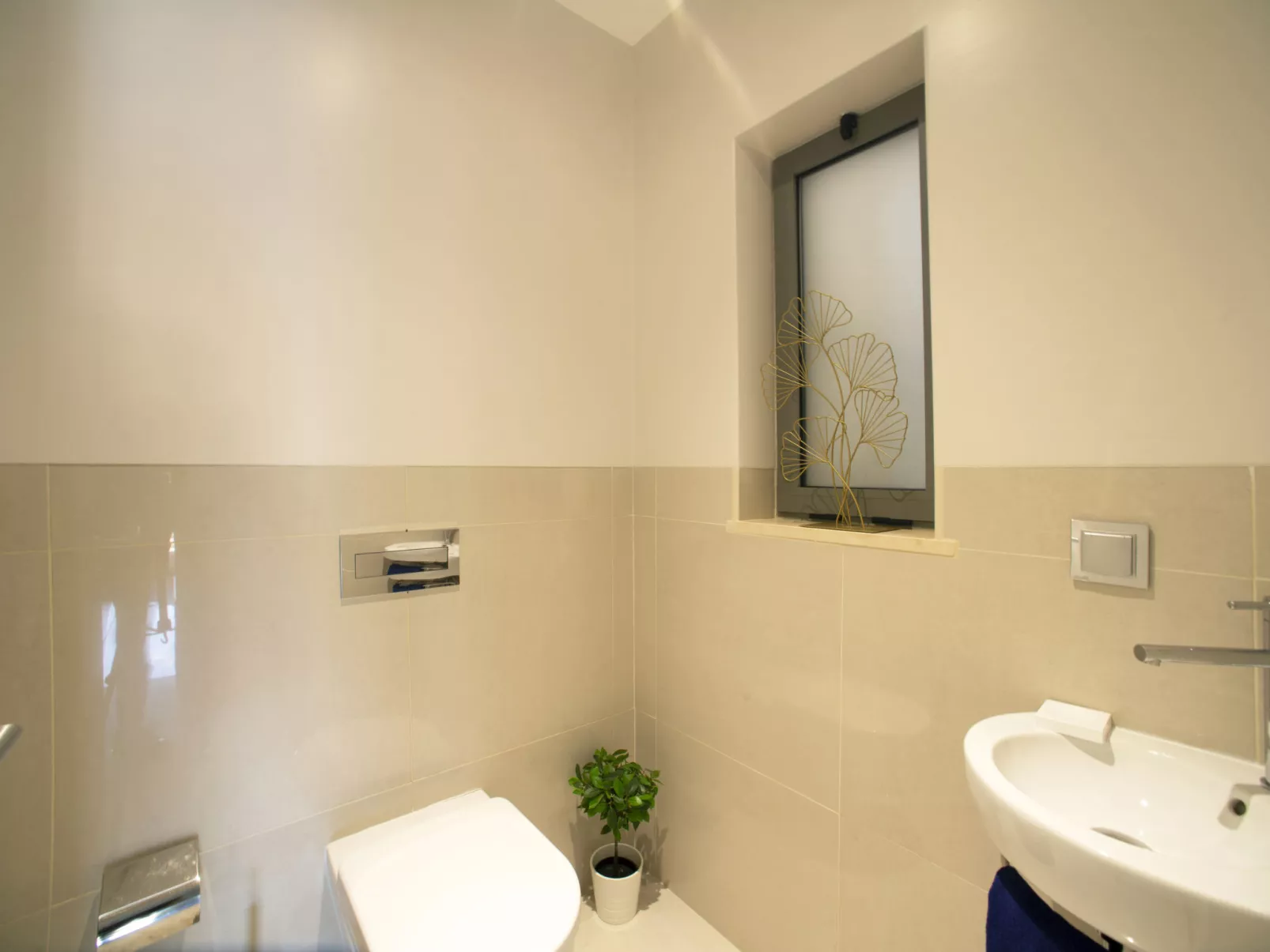 Pine Hills Safira-Inside