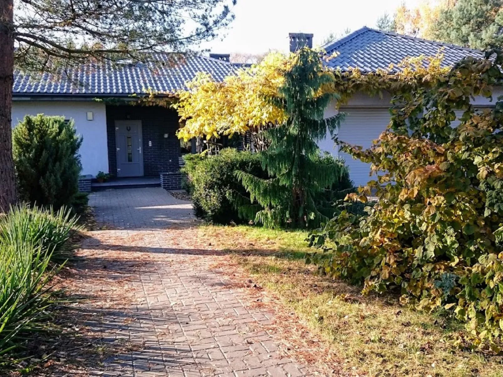 Głęboczek 21-Outside