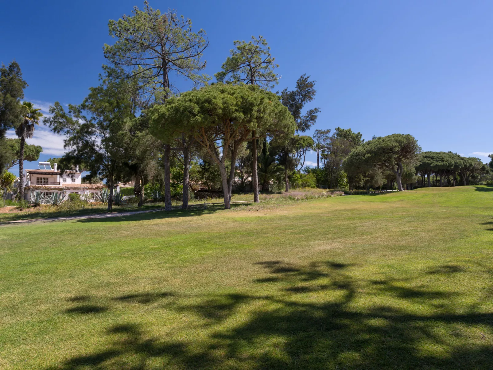 Villa Verde-Inside