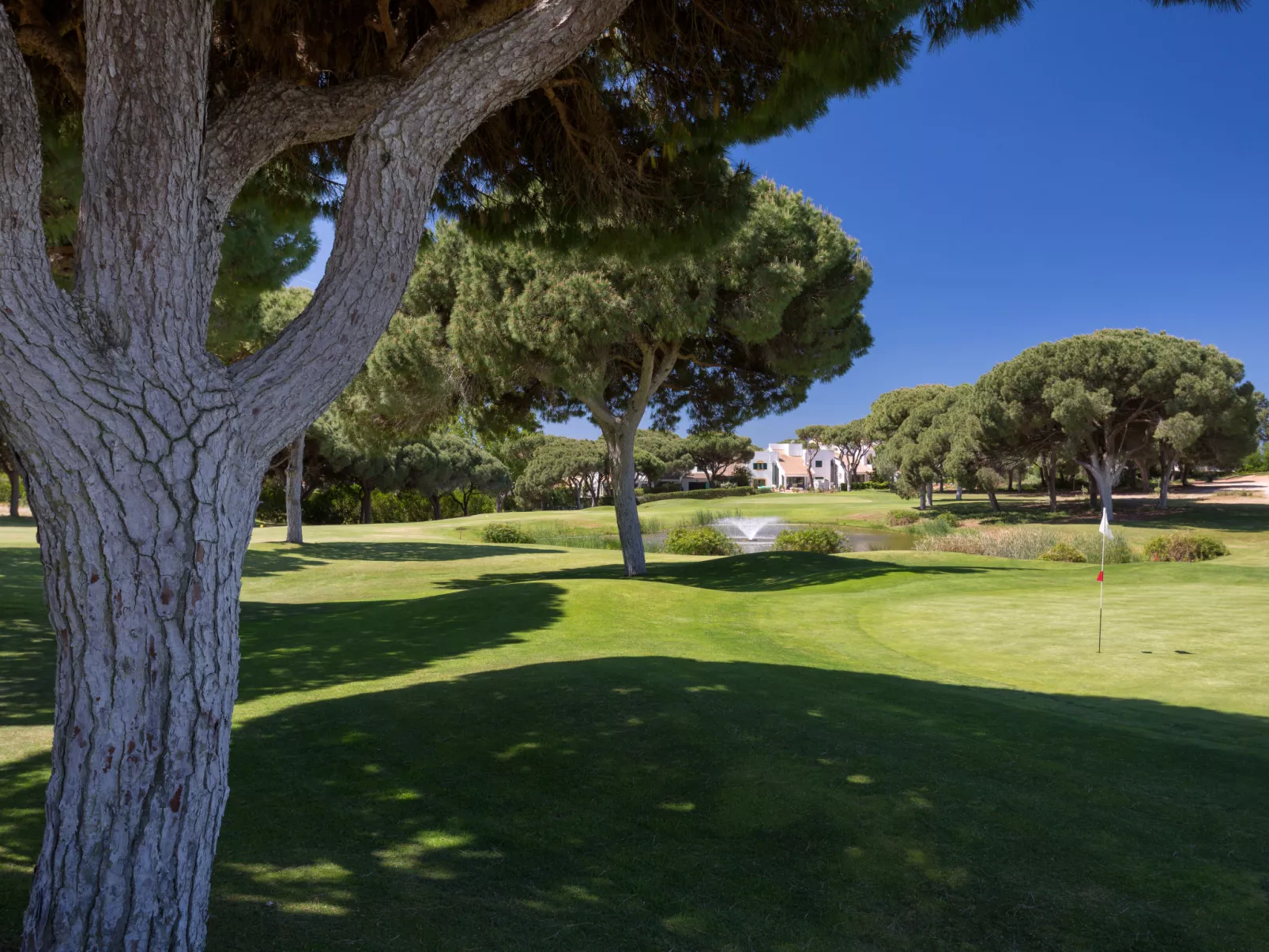 Villa Verde-Inside