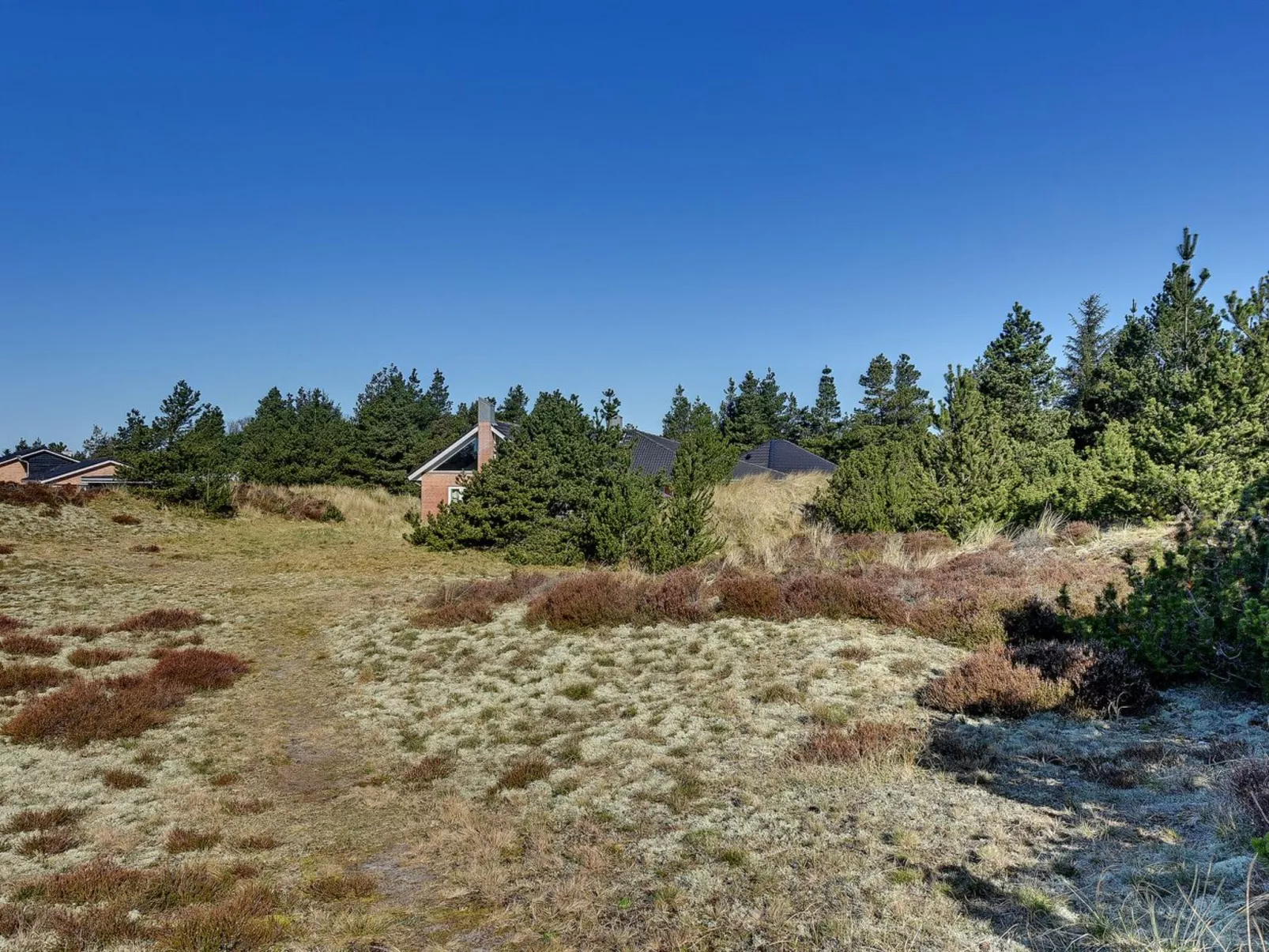 "Sjamme" - 1.2km from the sea-Outside