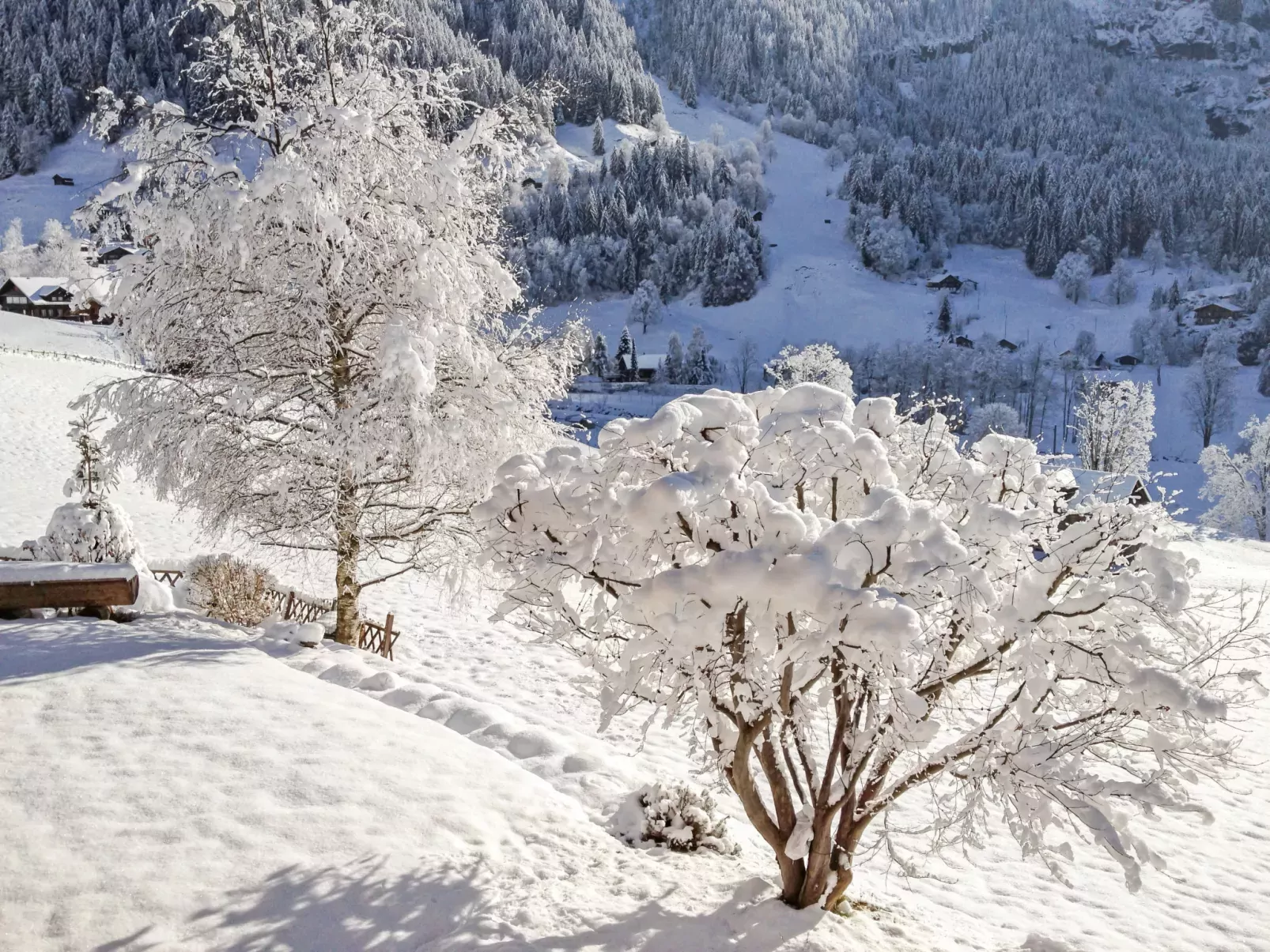 Chalet Bärgsunna-Draußen