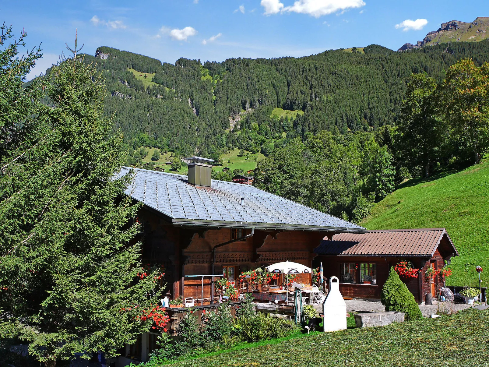 Chalet Marie Rosa-Draußen