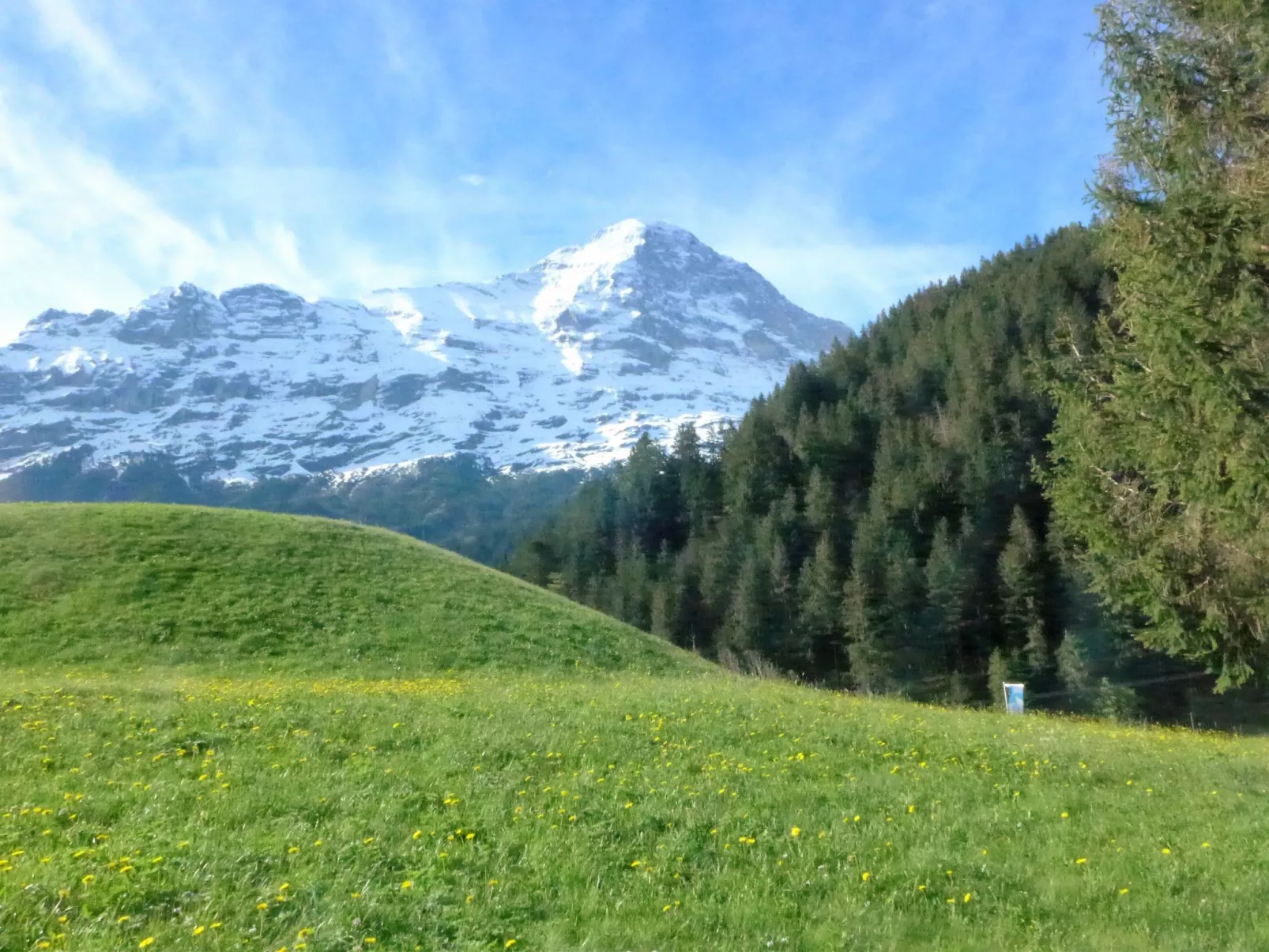 Chalet Marie Rosa-Draußen
