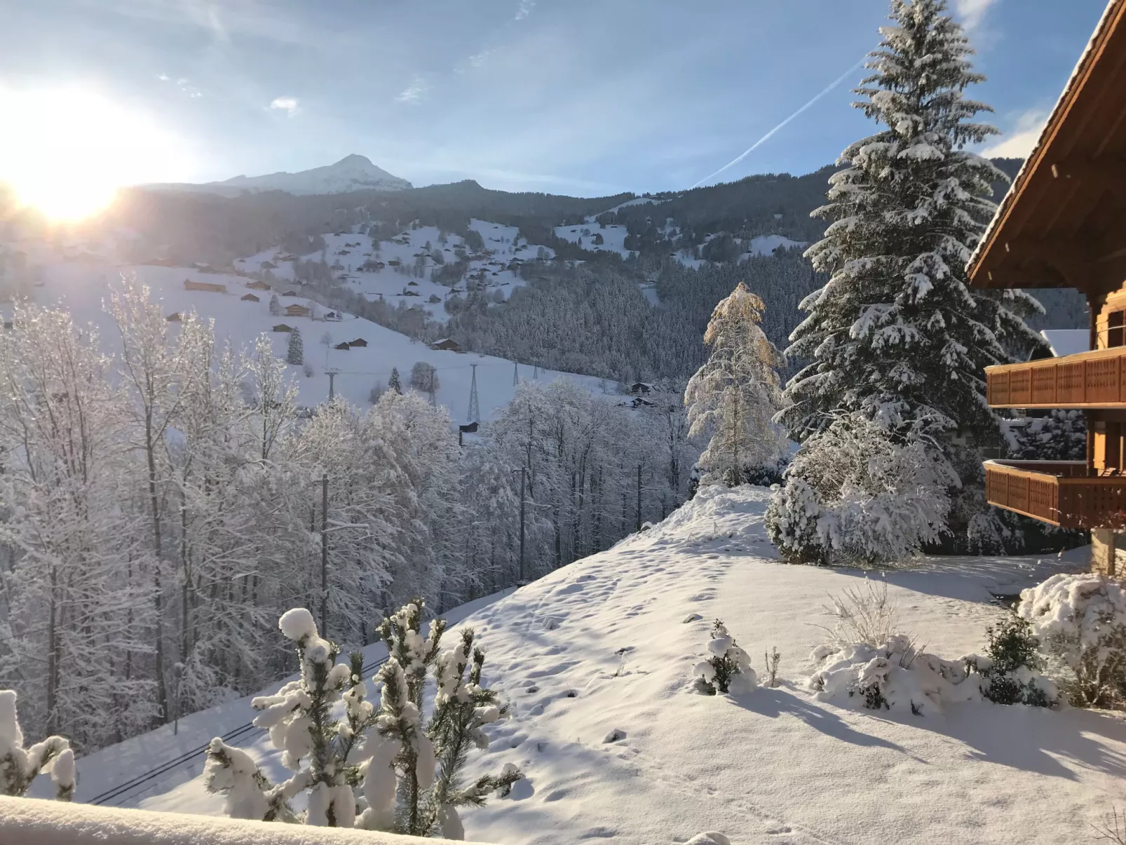 Chalet Eiger-Draußen