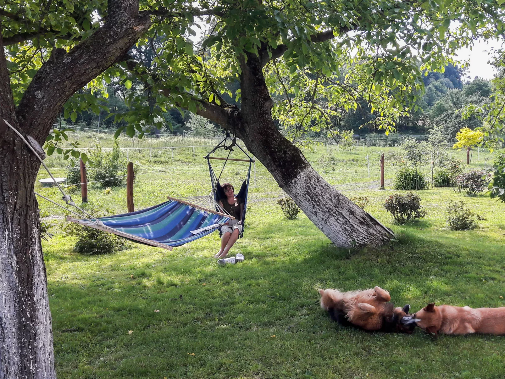 Dom na Skraju-Draußen
