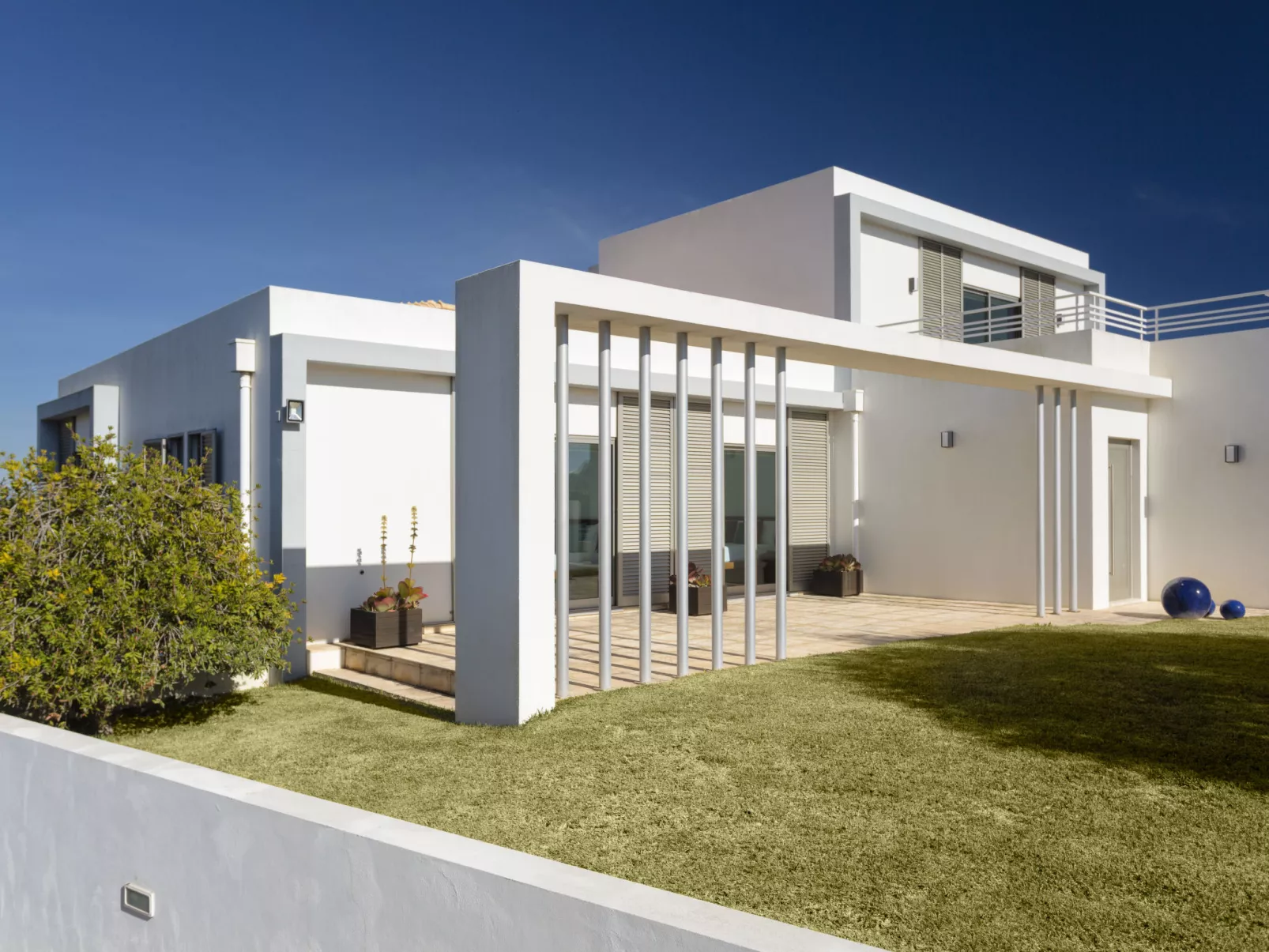 Almond Tree-Outside